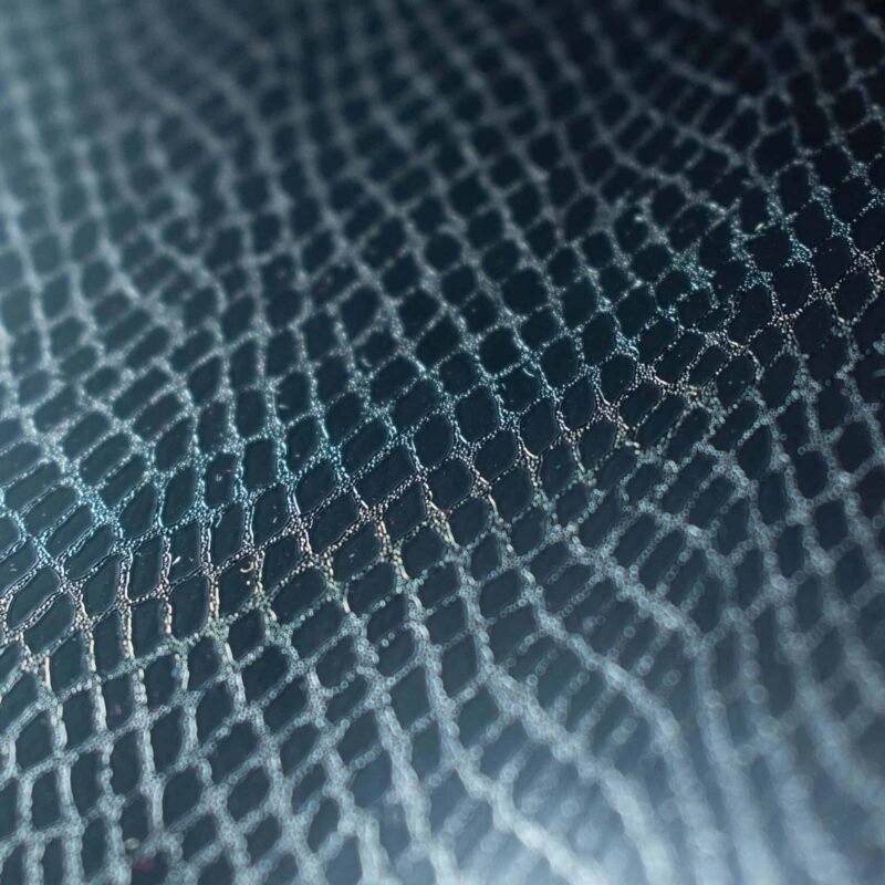 Snake Skin Black Closeup